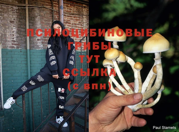 MDMA Елизово